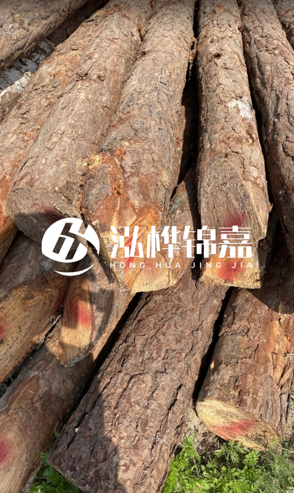 <strong>松木樁和杉木樁的用途區(qū)別？哪個(gè)更適合打樁用？</strong>