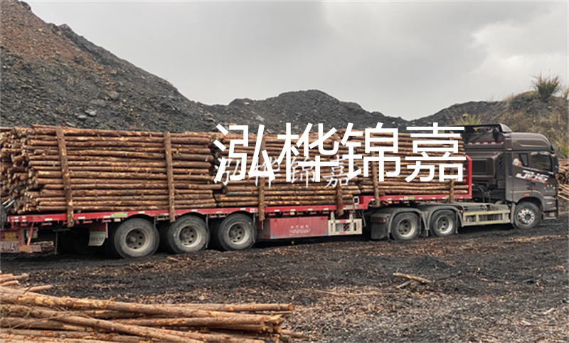 云南哪里有松木樁？實用指南，助您選購優質木材！